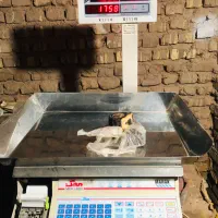 ترازو 70کیلویی محک چاپ گر و یخچال ویترینی