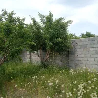 فروش باغ فوری