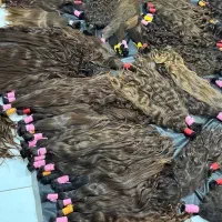 موی کودکان و بانوان خریداریم