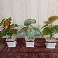 گل مصنوعی ، گلدان تزئینی، دکوری