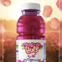 پخش نوشیدنی شربت عرقیجات گلدیلا|عمده‌فروشی|تهران, ترمینال غرب|دیوار