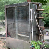 دستگاه پاچینی