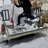 حمل بار