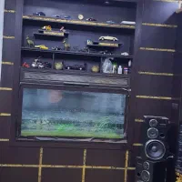 آکواریوم با تمامی امکانات