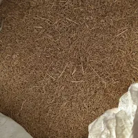 کرابیه(زیره سبز)|خوردنی و آشامیدنی|تربت جام, مطهری|دیوار