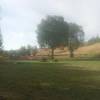 یونجه|لوازم جانبی حیوانات|کوهرنگ, |دیوار