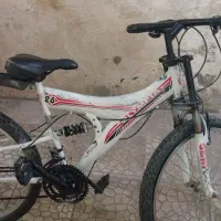 دوچرخه|دوچرخه، اسکیت، اسکوتر|مشهد, رده|دیوار