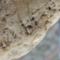 فروش ،پژوهش واکتشاف علمی،