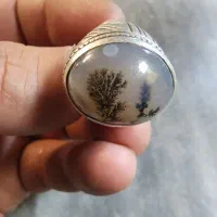 انگشتر شجر قائن ری احمد قدیمی