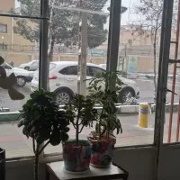 مغازه ۱۸ متری جهرم