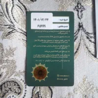تابلوی مرغان تسبیح گوی الون مناسب هدیه|تابلو، نقاشی، عکس|تهران, لویزان|دیوار
