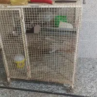 قفس بزرگ پرنده. گنجه