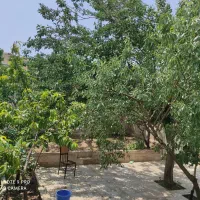 اجاره ویلا یولاق