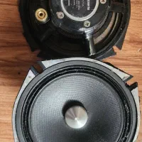 کواکسیال الپاین.  کاروزریا پایونیر گلدار