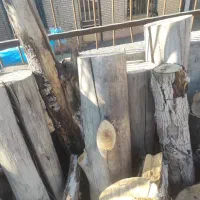 خریدار ضایعات چوب تخته برشکاری وهرس کاری|خدمات باغبانی و درختکاری|هشتگرد, شهرک اداری|دیوار