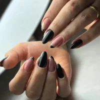 کاشت و ترمیم