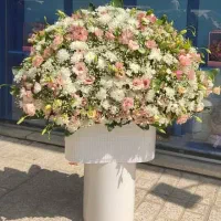گلفروشی نیلوفر آبی(خدمات گل ارایی)