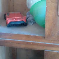 کمد دو تیکه سالم از جنس چوب