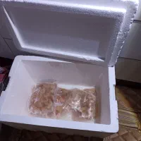 میگو|خوردنی و آشامیدنی|شیراز, پارک آزادی|دیوار