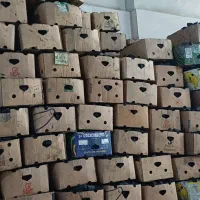 پخش عمده زغال سراسری