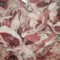 فروش عمده و جزیی شلحه تازه گوسفندی