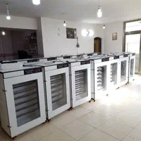 دستگاه جوجه کشی/+بهترین کیفیت+٪|لوازم جانبی حیوانات|بندرعباس, |دیوار