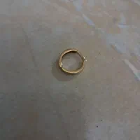 گوشواره گمشده