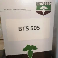 فروش بذر چغندر قند بی تی ای ۵۰۵