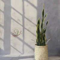 درختچه|گل مصنوعی|قم, انسجام|دیوار