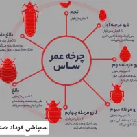 سم پاشی با مجوز رسمی|خدمات نظافت|قم, حنیف نژاد|دیوار