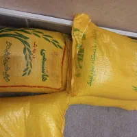 برنج هاشمی طارم