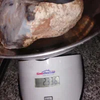 سنگ شجر|جواهرات|شیراز, کوشک میدان|دیوار