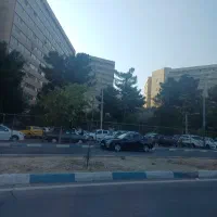 استخدام مشاورخانم اقا