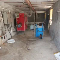 مرغداری گوشتی