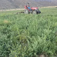 نیروی کار کشاورزی
