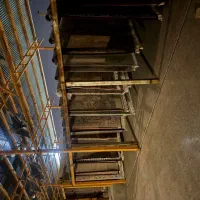 قالیشویی و مبل شویی بهار