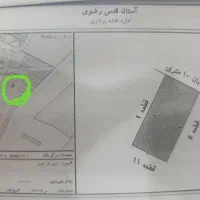 زمین کوی انصار 200 متر