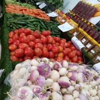 نیروبرای میوه فروشی