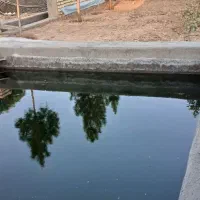 باغچه دارای درختان ۷ ساله ی بارده و استخر بزرگ|فروش خانه و ویلا|قم, انسجام|دیوار