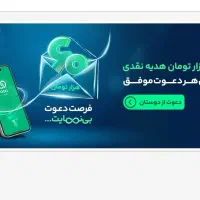 ویپاد وام بدون ضامن