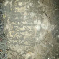 سنگ شجر تراش نخورده