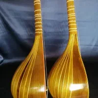 سه تار خوش صدا شاهرخی|سازهای سنتی|گلبهار, شهر جدید گلبهار|دیوار