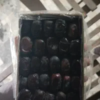 فروش خرما مضافتی ۲ردیف و۳ ردیف وخرمای زردان