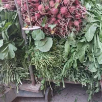 فروشنده آقا در مغازه تره بار نیازمندم.