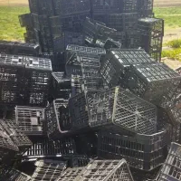 سبد ۲۲ کیلویی|عمدهفروشی|هلیلان, |دیوار