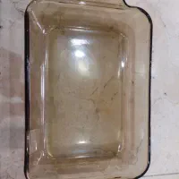 مرغ خوری اصلی آمریکایی