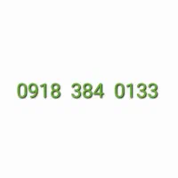 0918-384-0133