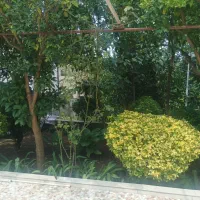 فروش ویژه باغ و ویلا 458متر شیرگاه خانم قربانی