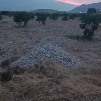 باغ انجیر میمند|فروش زمین و ملک کلنگی|میمند, |دیوار