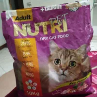 غذای خشک گربه